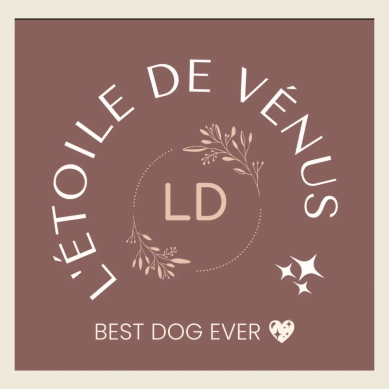 L'étoile de Vénus ✨