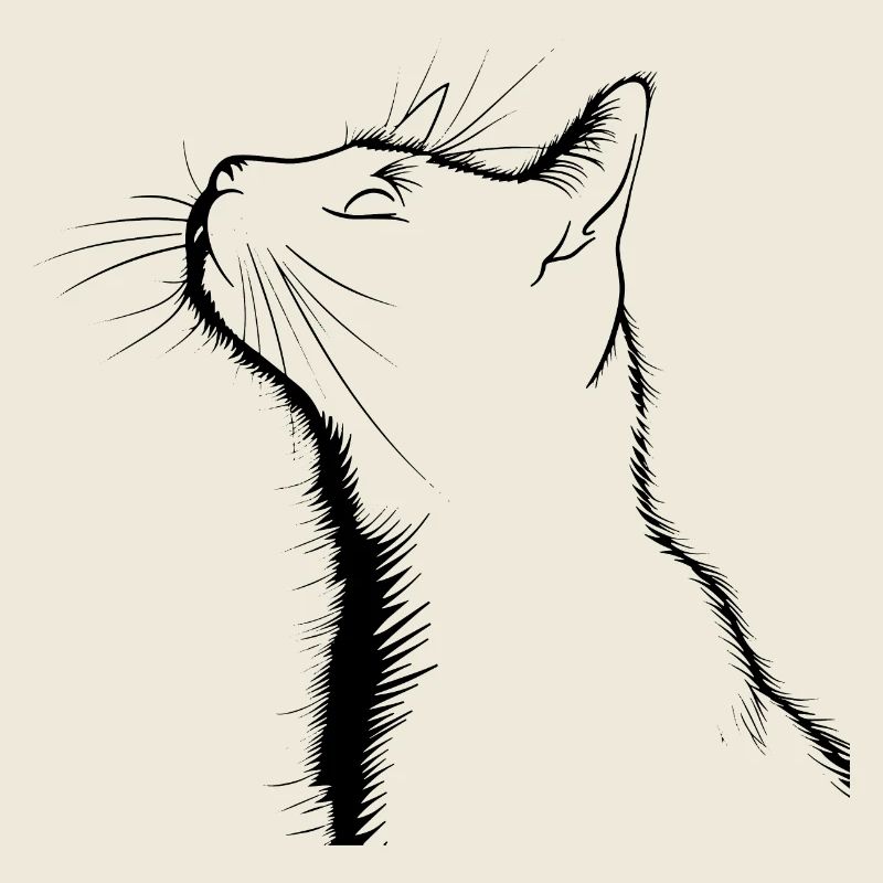 Chat, Motif De Chat
