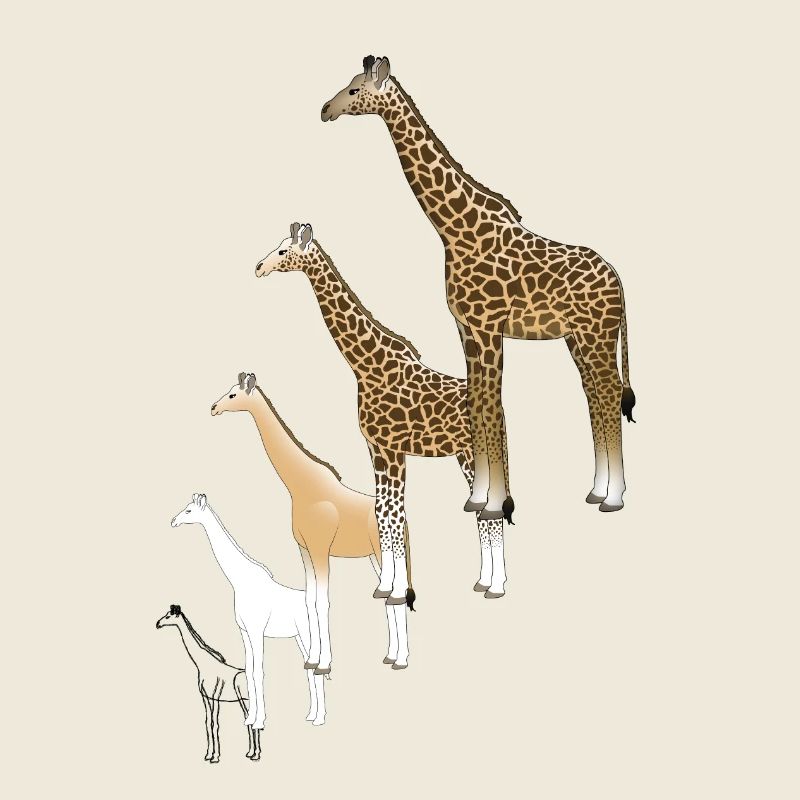 Giraffe drawing