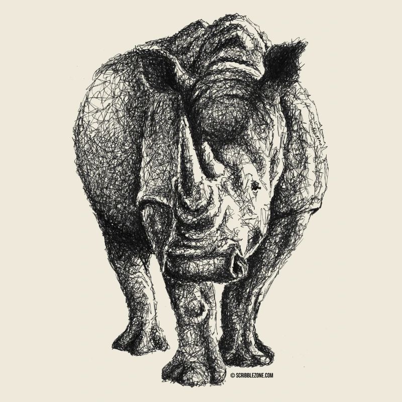 Scribbled Rhino