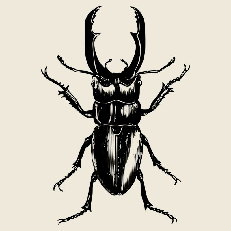 Hirschkäfer
