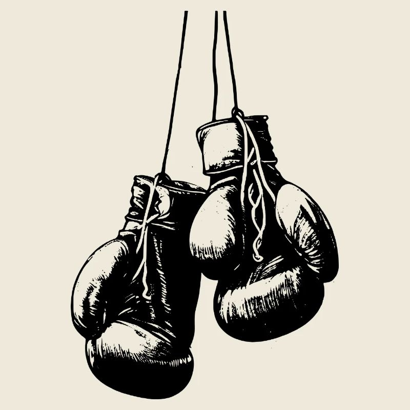 Gants de boxe noirs accrochés aux cordons