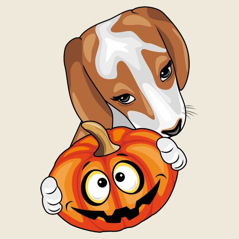 Beagle à la citrouille