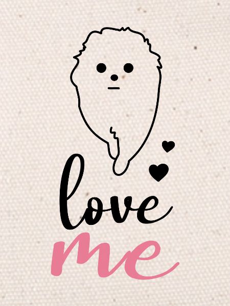 Dwarf spitz