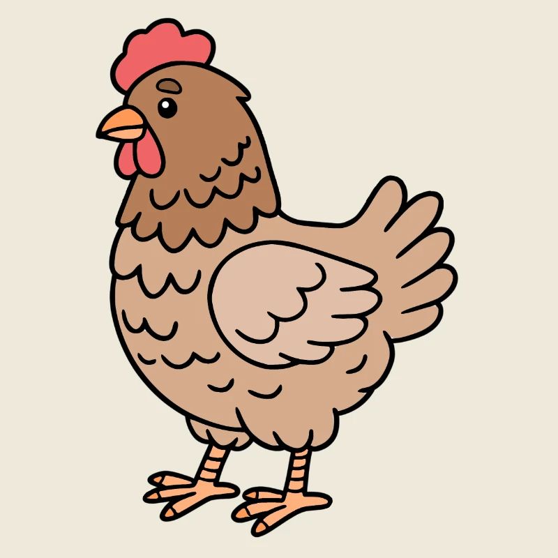 Chicken Chickens