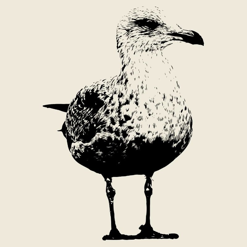Mouette