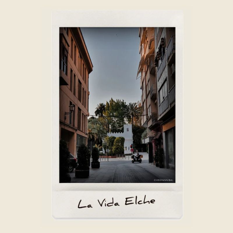 Leben Elche