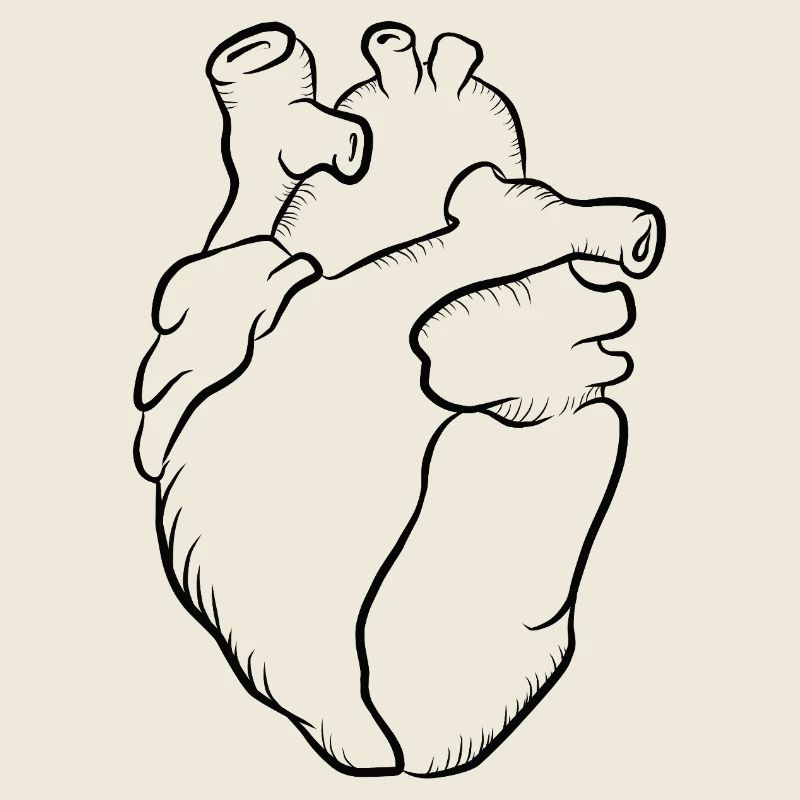 Anatomical heartline print