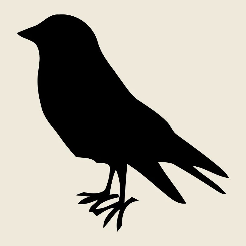 früher vogel bird vögel