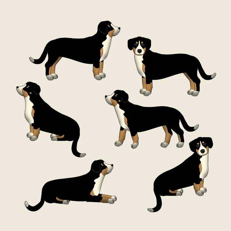 Entlebucher Auswahl