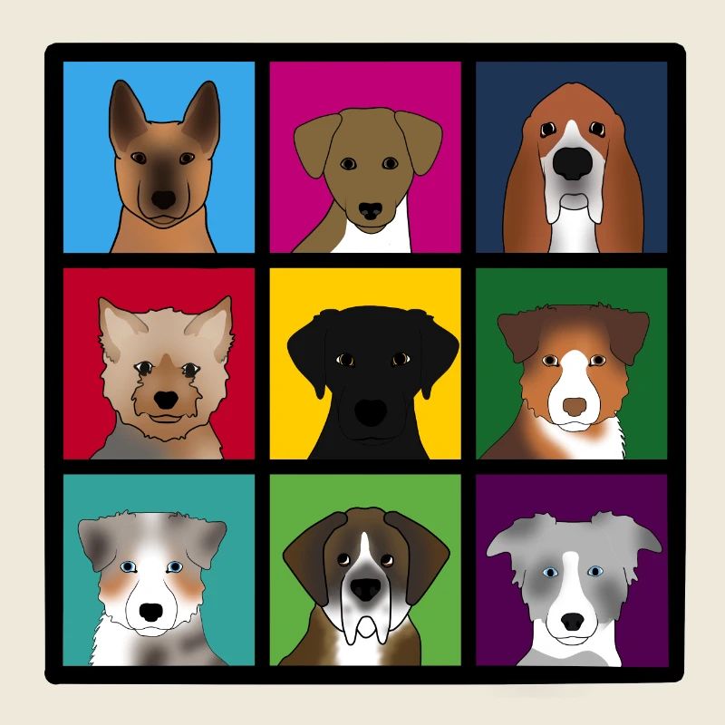nouveaux chiens de 3 x 3