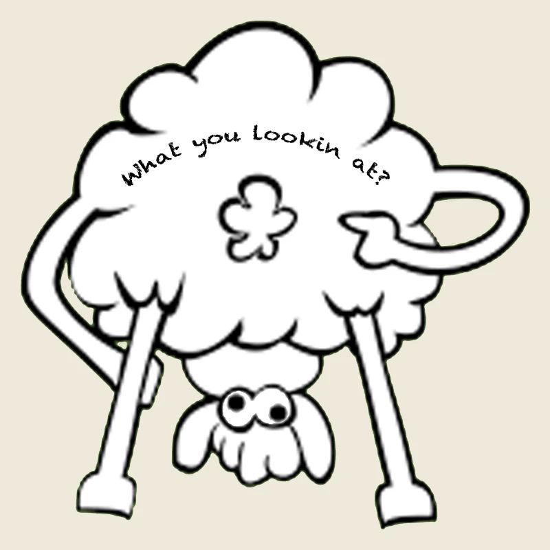 Sheep
