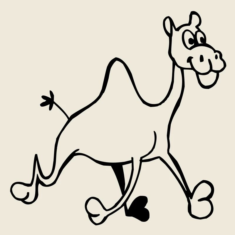 Camel drôle