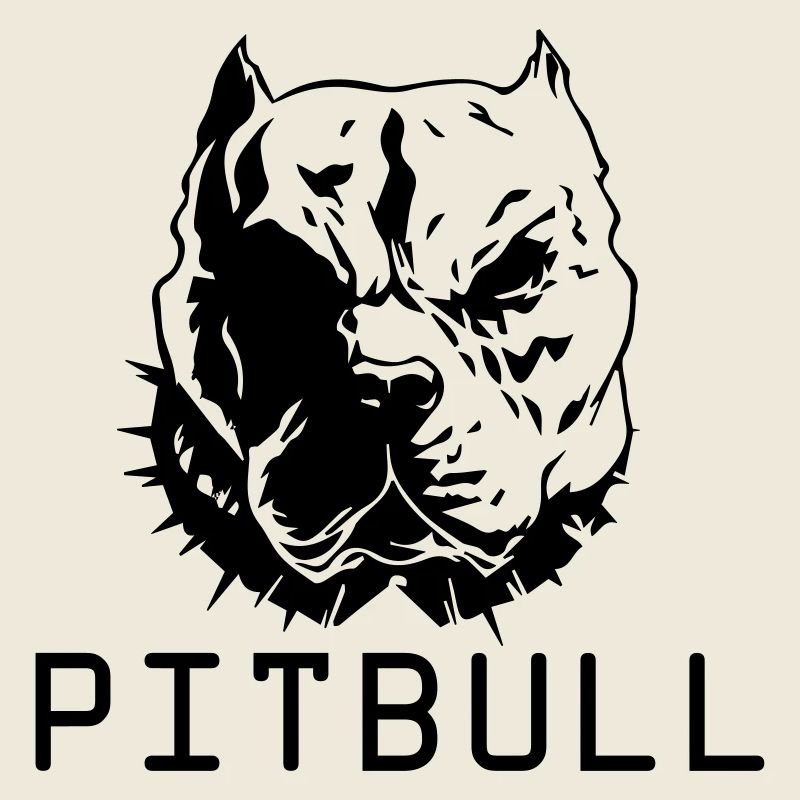 pitbull dog