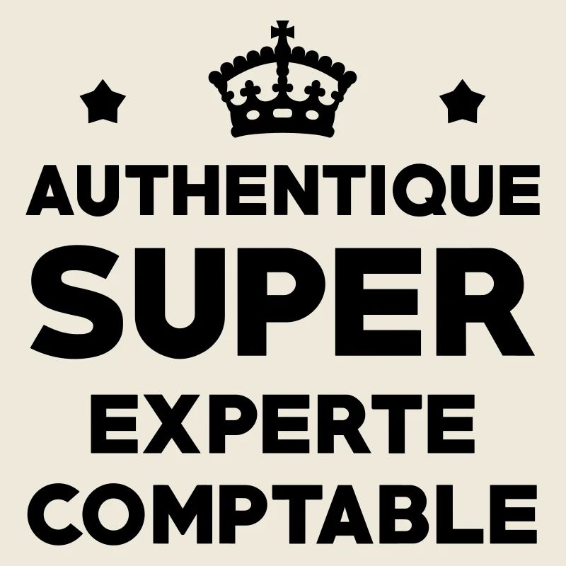 Expert Comptable / Comptabilité / Comptable /