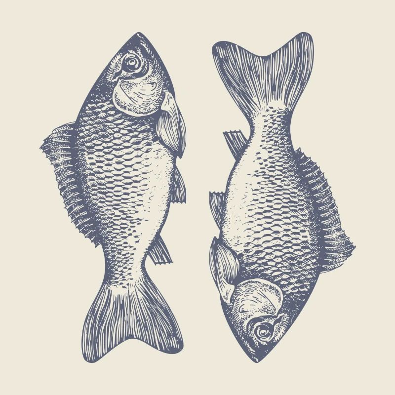 The symmetrical fish