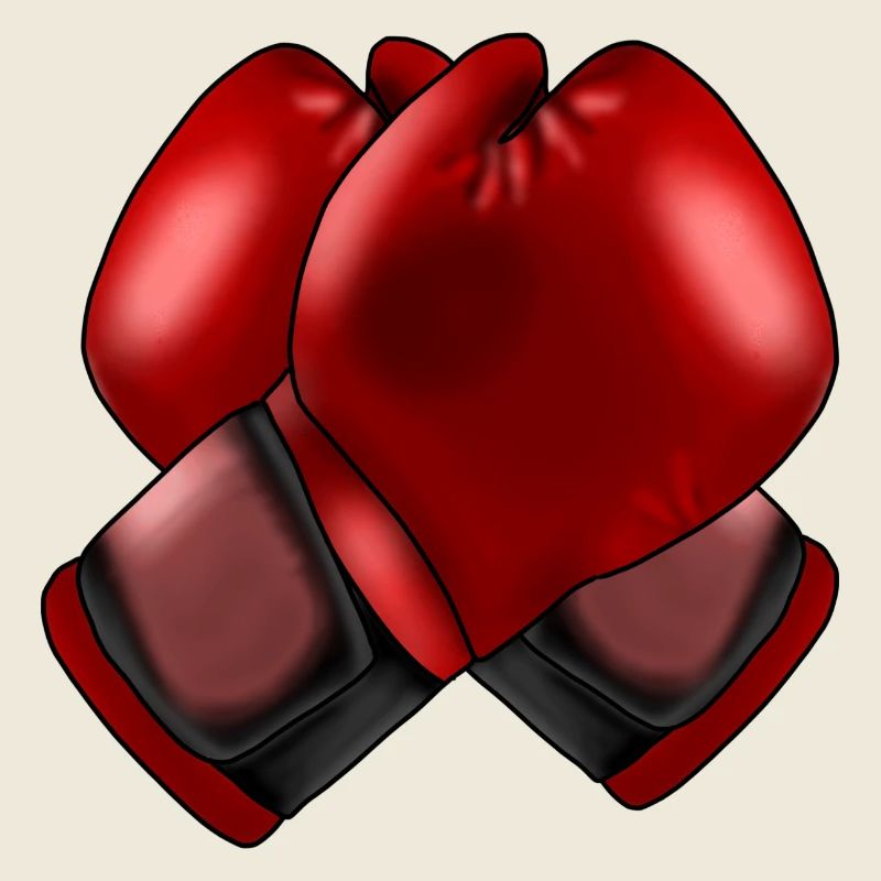 Gants de boxe 4