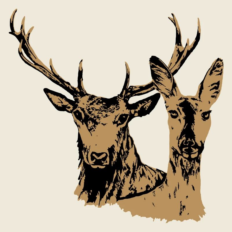 Cerfs et biche