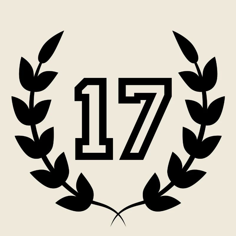 17e anniversaire-idée cadeau 17 ans