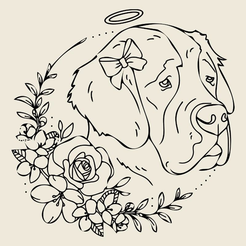 chien