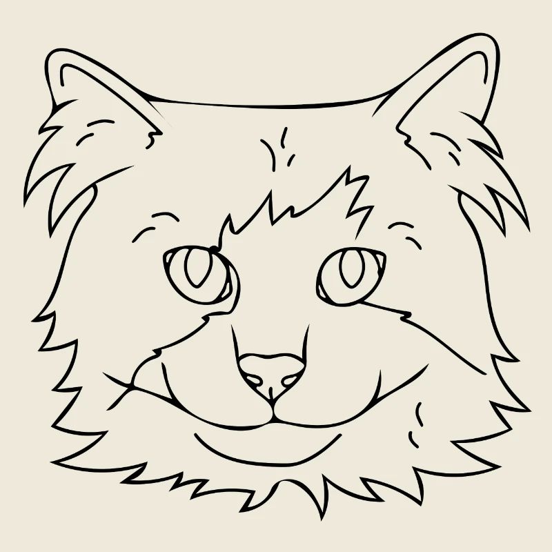 chat
