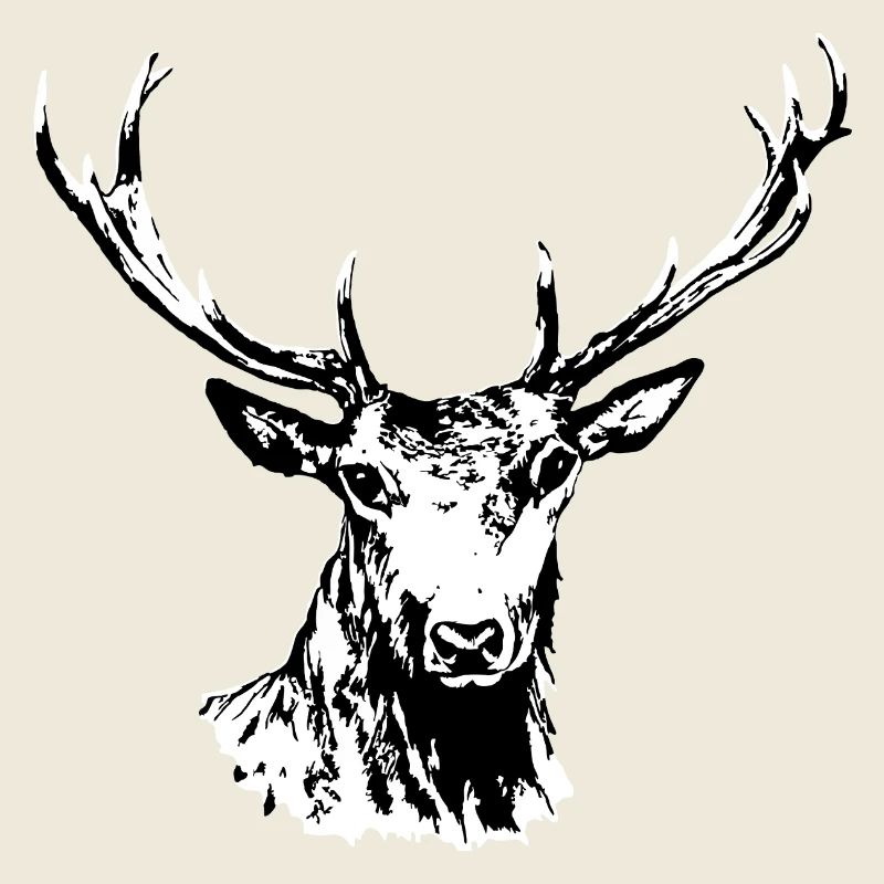 Hirsch