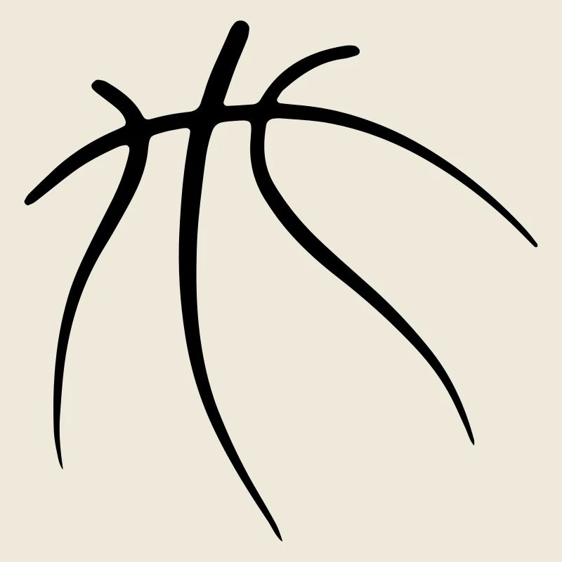 Basketbäll 09 Plan de travail 9