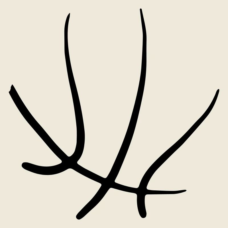 Basketball 45