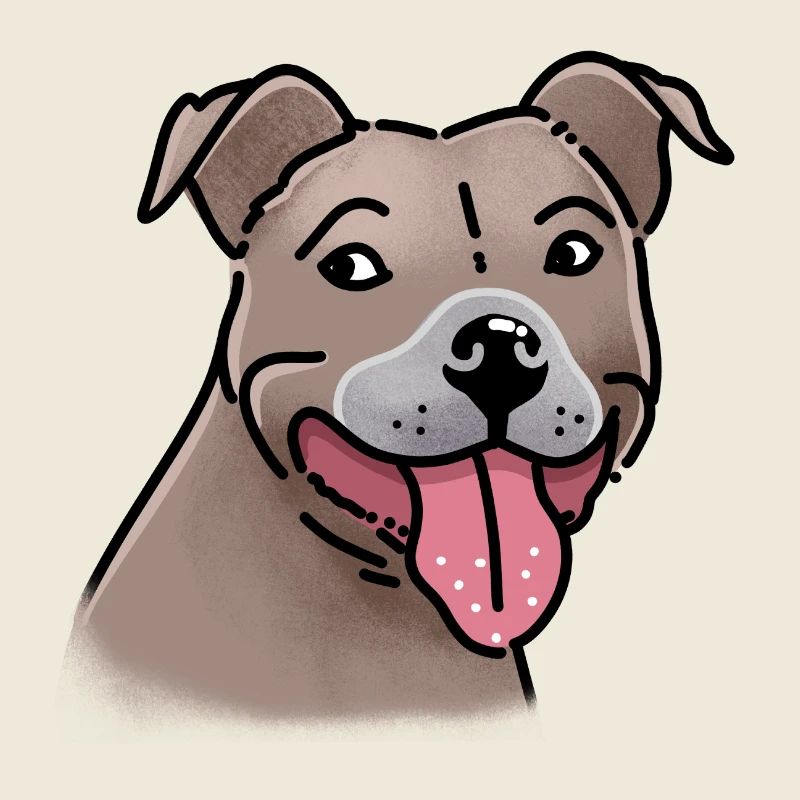 Visage de chien Staffi super heureux