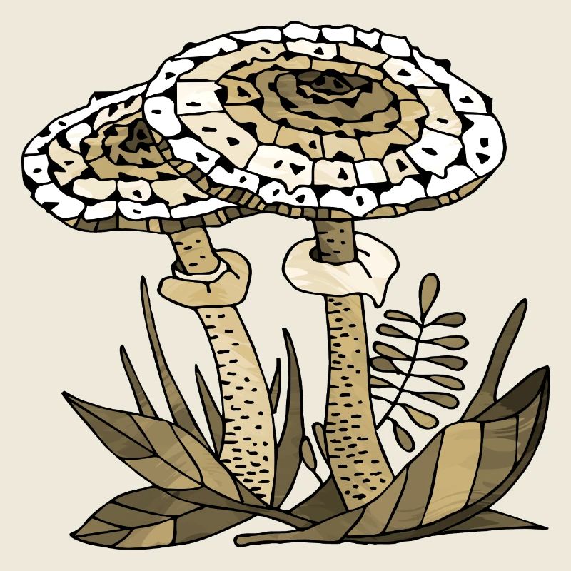 mycètes