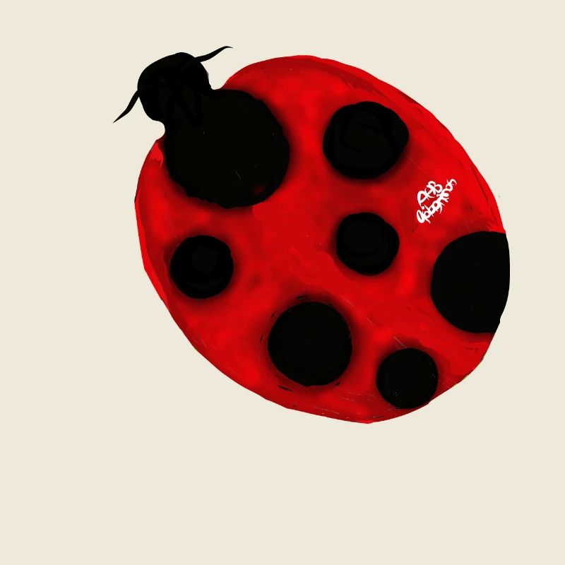 COCCINELLE : coccinellidae vulgaris à sept points.