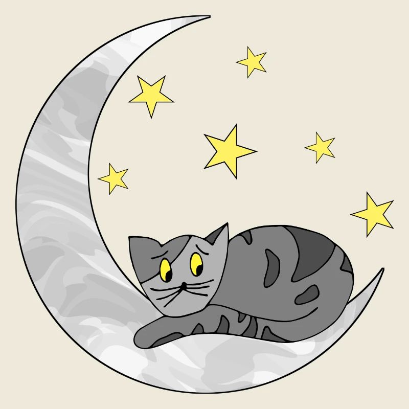 Katze