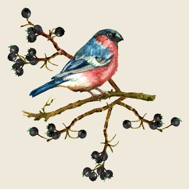 Oiseau coloré