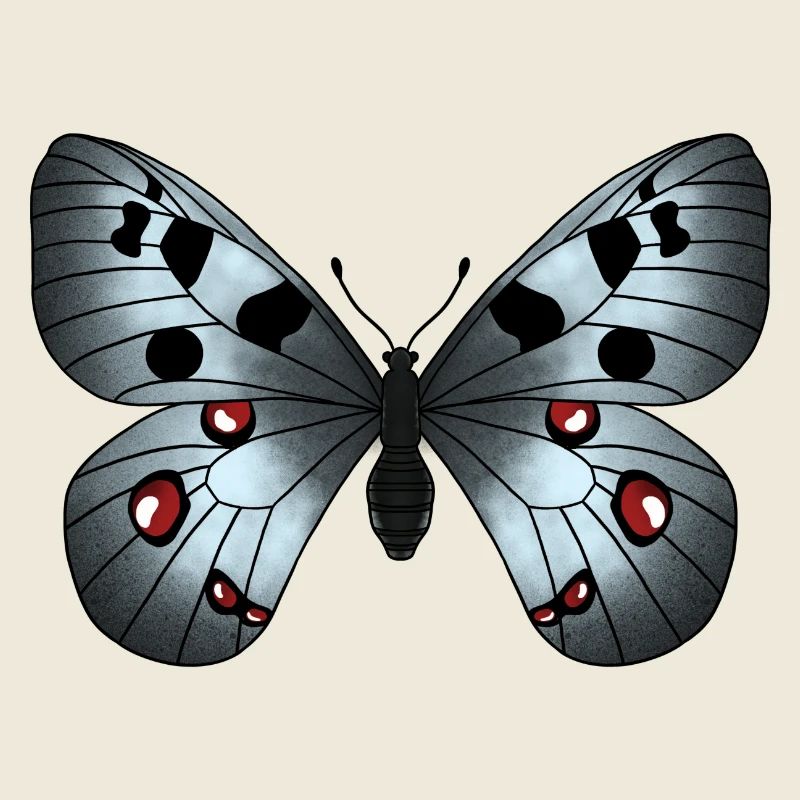Butterfly Grey