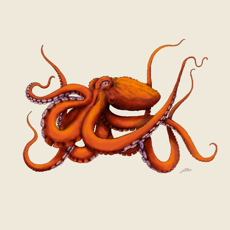 RIESIGER PAZIFISCHER OKTOPUS