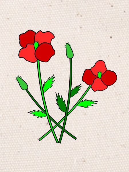 Blühender Mohn