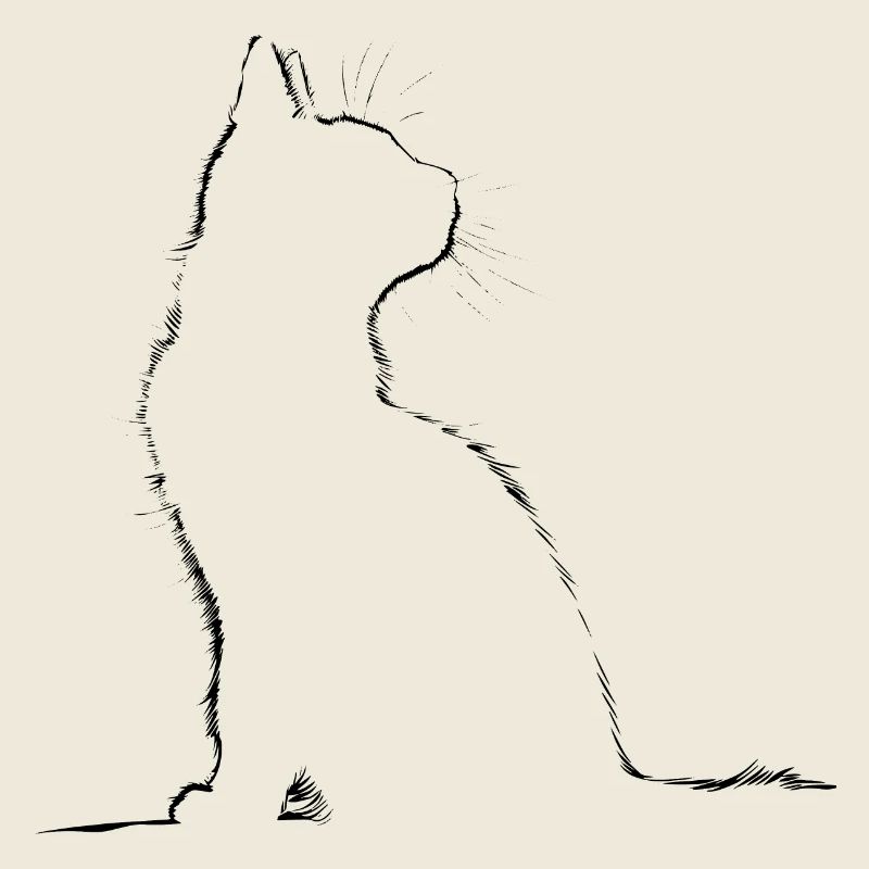 Chat, Motif De Chat