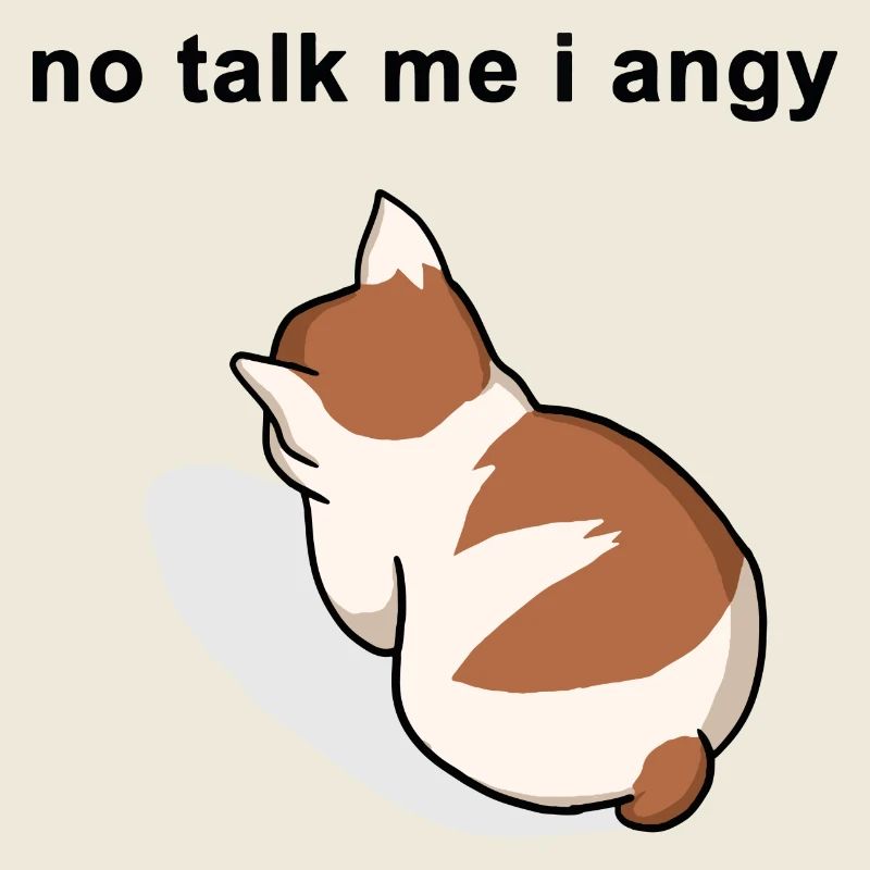 pas de parler moi je mème chat en colère