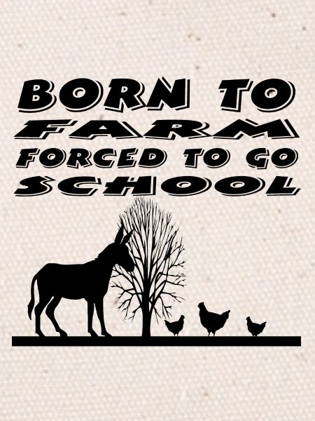Farm