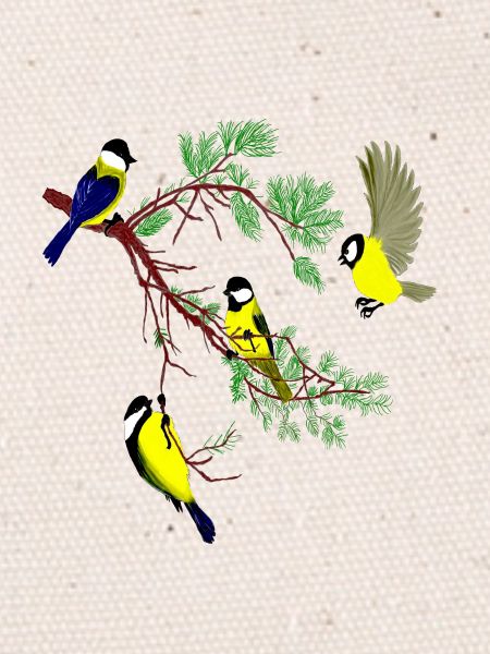 birds23