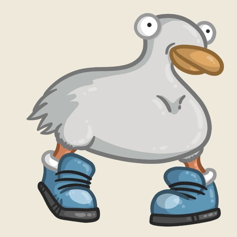 canard