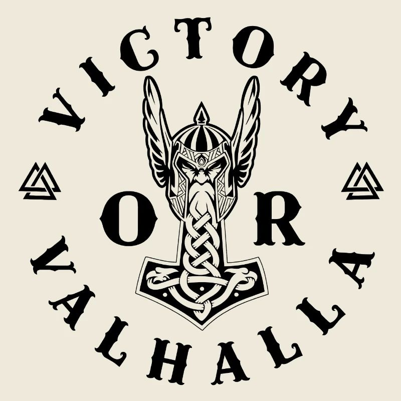 Vikings norden valhalla suède scandinavia flaga
