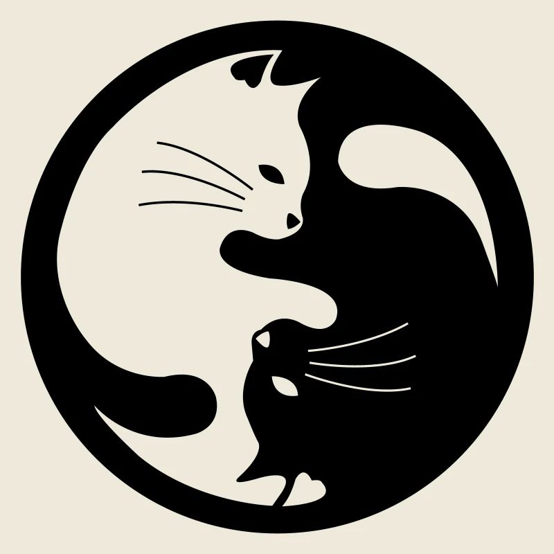 Chats Ying Yang