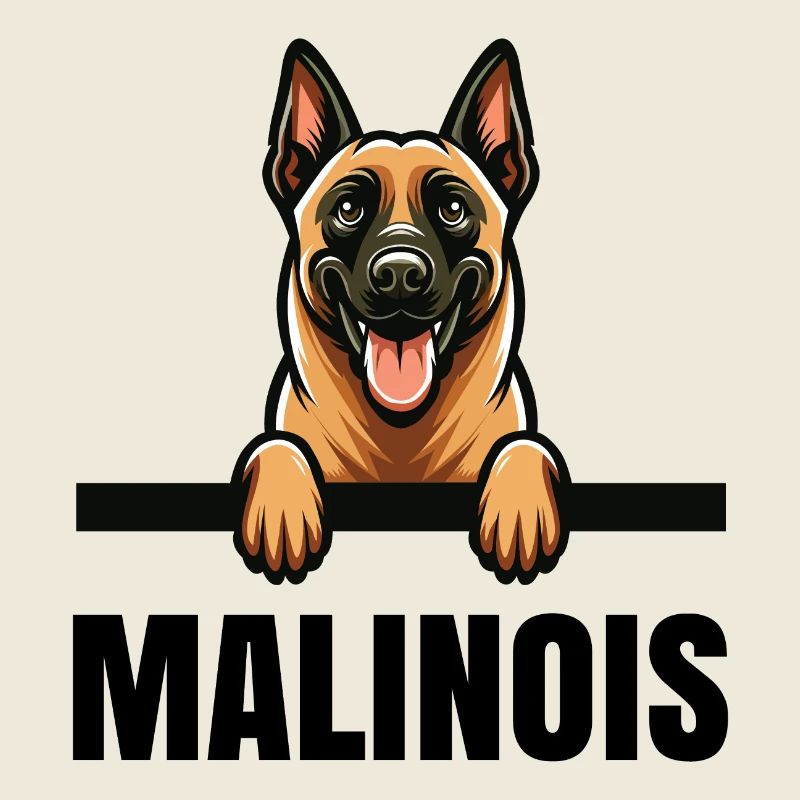 Belgischer Malinois Belgischer Malinois