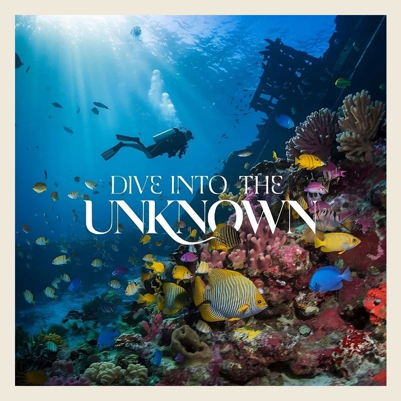 Dive into the Unknown transformed