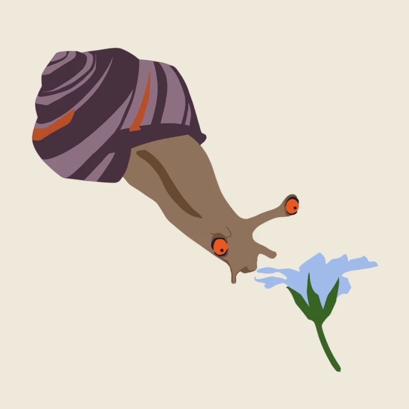 Snail smoker