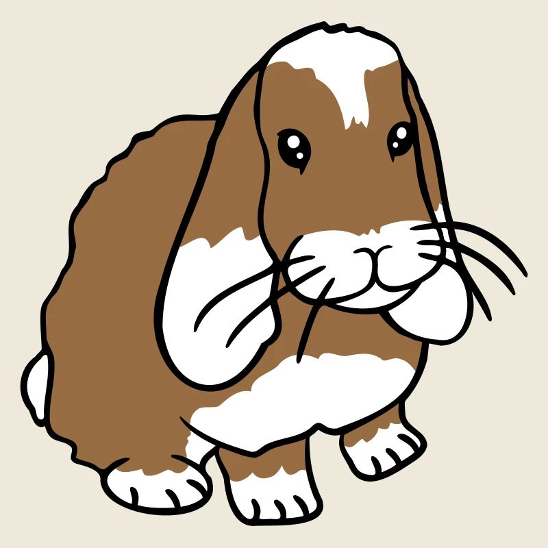 Lapin Lapin Rongeur Petit Animal Mignon