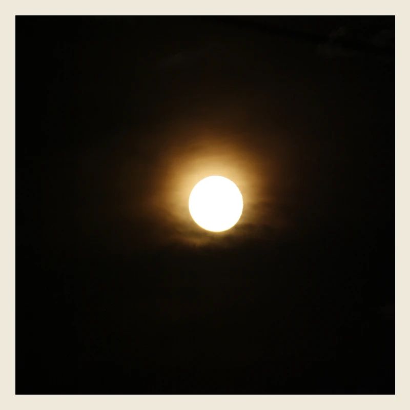 Mond