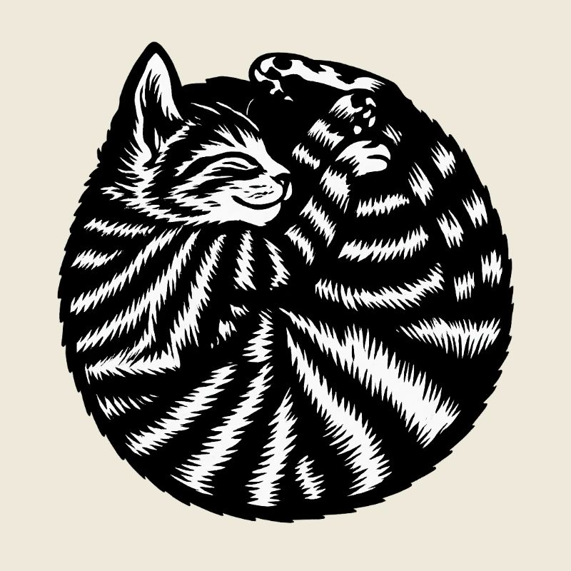 Katze Katze niedlich