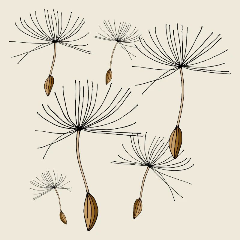 Dandelions